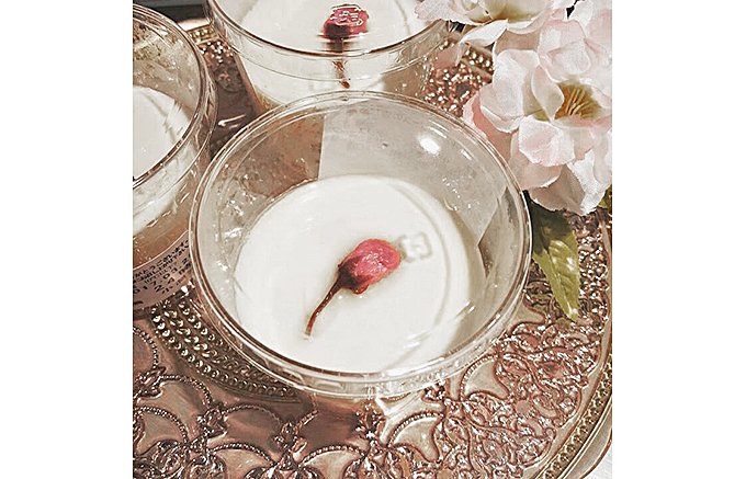 季節限定！後味さっぱり！桜漂う白バルサミコソースに浮かぶ「桜杏仁豆腐」
