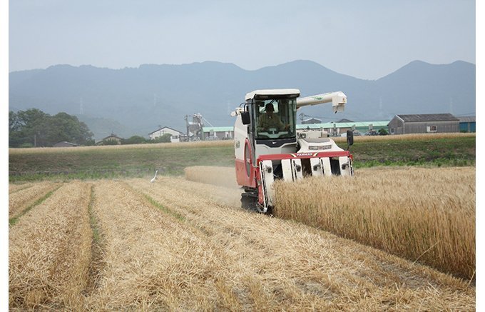 小麦の全国生産2位！福岡県産小麦だけで作る、田中製粉の「亀特上」と「亀」