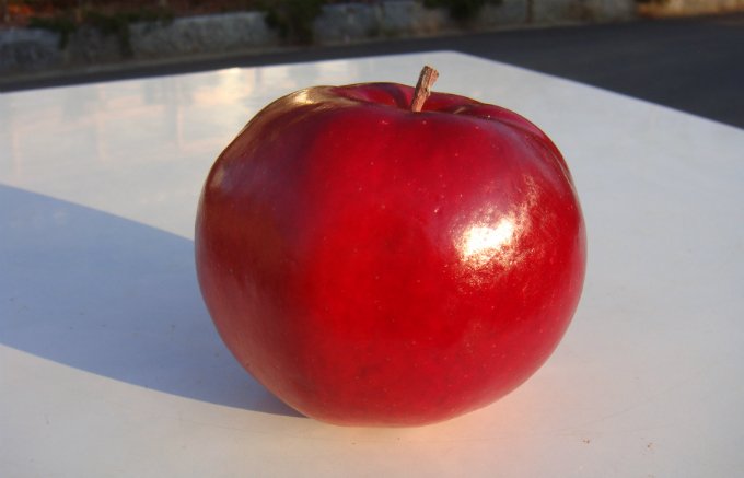 時期限定！今しか食べられない果実の旨味がたっぷり詰まった「アップルパイ」