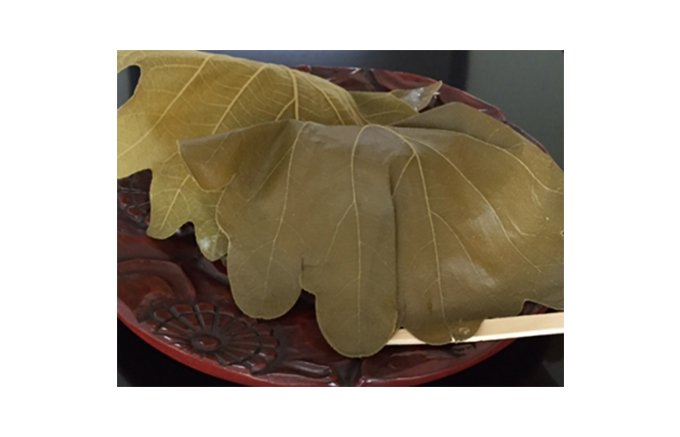 柏の葉まで食べられそう！やわかい作りたて名残の柏餅、岡野栄泉
