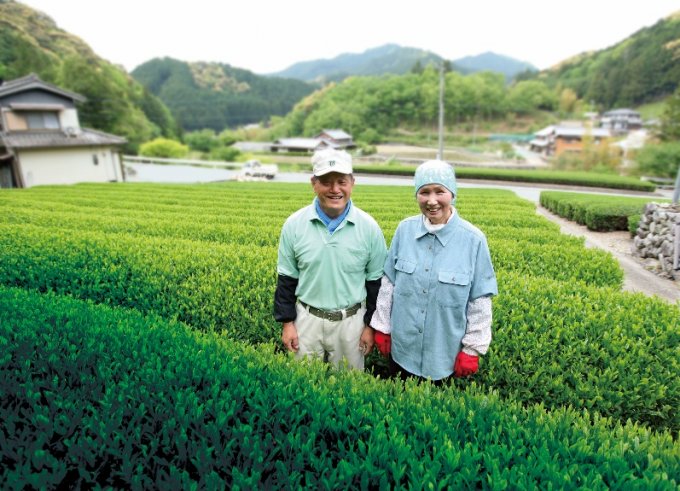 伊勢神宮御用達茶舗『芳翠園』の最高級銘茶「煎茶 名人憲太郎」