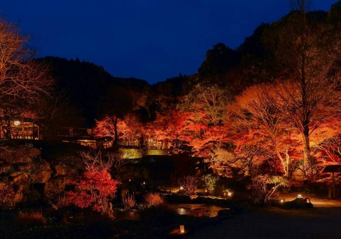 福岡の山の中の名勝地で作られるすっぽんエキス入りはちみつ“亀蜜”