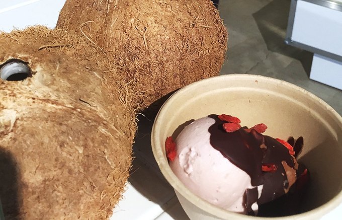 “新鮮×自然”な味！日本初上陸のキッピーズココクリームのオーガニックアイス！