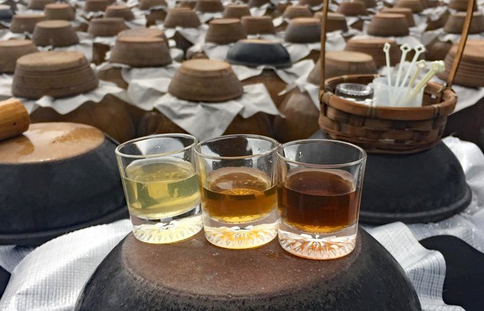一面に広がる壺畑は圧巻！飲みやすくて美味しい、霧島の『坂元醸造』の「くろず」