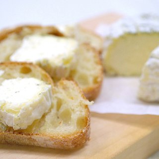 季節限定！北海道の森が薫る“共働学舎”の熟成チーズ「ヤチヤナギ」