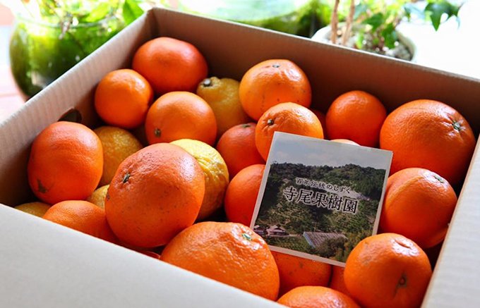 みかん王国愛媛で、明治39年から100年受け継がれる柑橘のしずく。