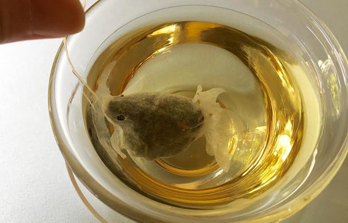 可愛すぎて飲めない台湾「CHARMVILLA」の、涼しげな金魚のティーバッグ