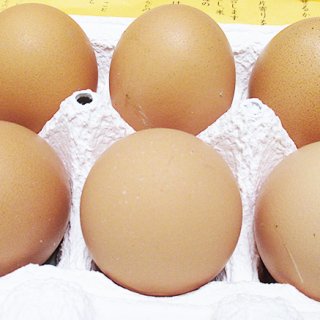 生卵で食べることにこだわり抜いた埼玉県東松山市の「幻の卵」