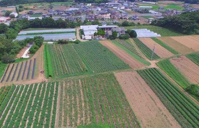 茨城県が誇る農薬、化学肥料を一切使用しない「樫村ふぁーむ」の野菜