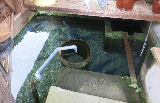 琵琶湖畔、清らかな湧き水の里の純米酒　川島酒造の「高島」