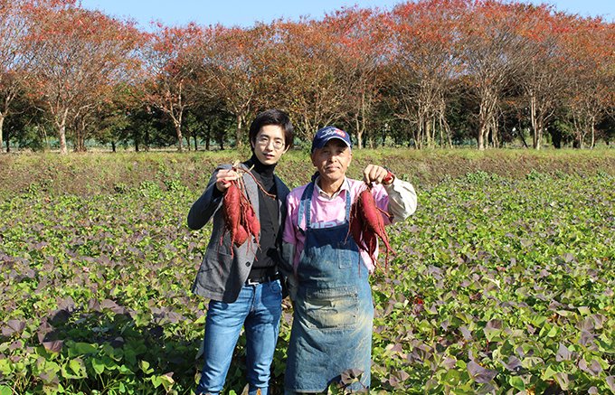 【熊本県】西原村の特産品!夏は冷やして美味しい「しっとり焼き芋」 【熊本県】西原村の特産品!夏は冷やして美味しい「しっとり焼き芋」