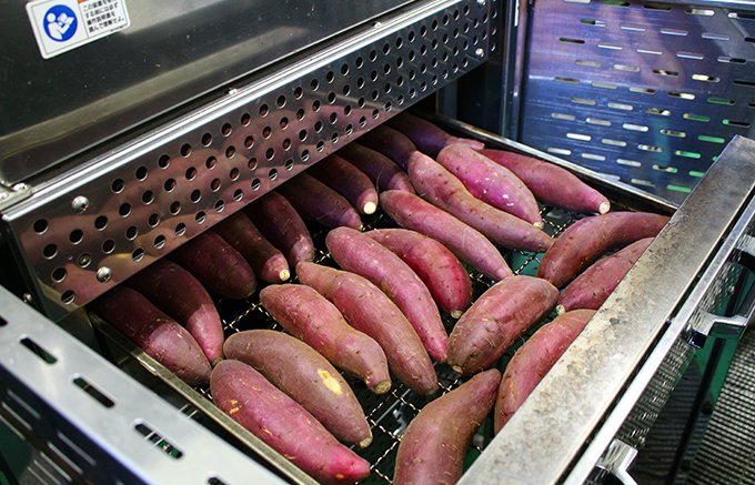 【熊本県】西原村の特産品!夏は冷やして美味しい「しっとり焼き芋」 【熊本県】西原村の特産品!夏は冷やして美味しい「しっとり焼き芋」
