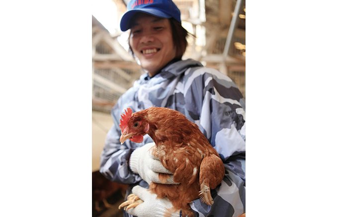 絶品卵を生み出す熊野さんが育てる愛媛の地鶏「媛っ子地鶏」が絶品カレーに！
