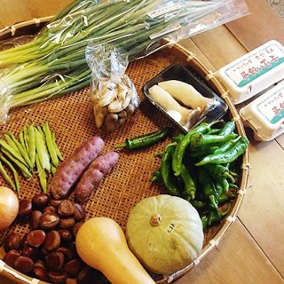 京都丹波で自然栽培されたヴァスパーの京野菜