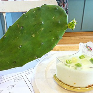 愛知県春日井市 野菜から新しく命を育むエルヴェラヴィ サボテンレアチーズケーキ Ippin イッピン