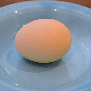 憧れの卵、烏骨鶏卵が手の届く逸品に。滋養豊富な卵で絶品たまごかけご飯を。