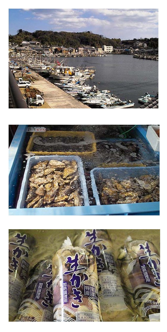 播州室津港のサイズも大きく旨味も詰まった牡蠣