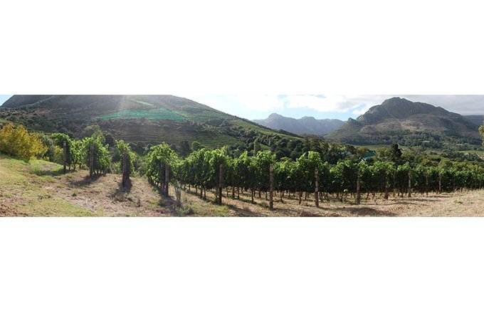 世界自然遺産に広がるブドウ畑から届く350年の歴史を持つ秀逸な南アフリカワイン