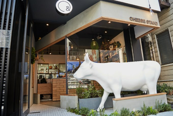 東京産牛乳が渋谷でチーズに大変身！チーズスタンドの「モッツアレラチーズ」