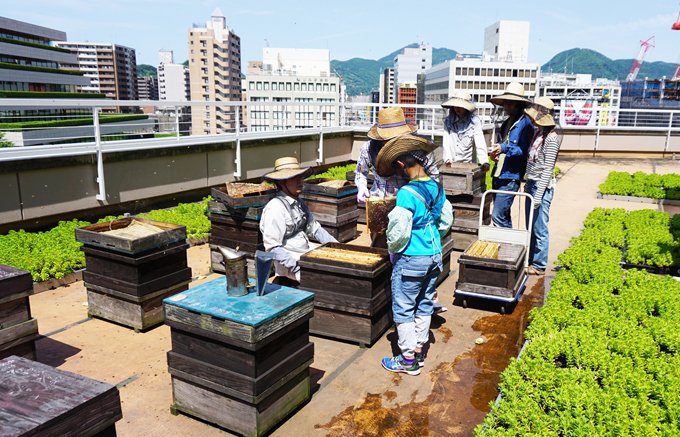 ミツバチからの贈り物“熊本ハニープロジェクト”の「熊本城お城はちみつ」