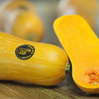 オーガニック野菜の先進国アルゼンチンで作られた、新種のカボチャ「コケナかぼちゃ」