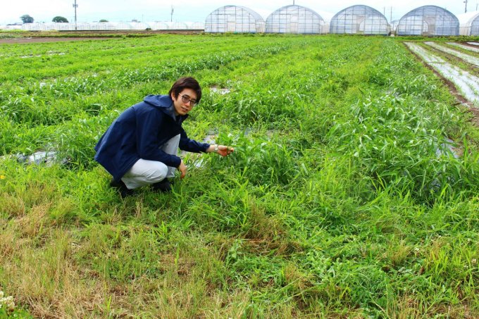 【福岡県】農薬不使用の玉ねぎが26%!のたまねぎドレッシング 【福岡県】農薬不使用の玉ねぎが26%!のたまねぎドレッシング