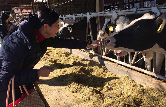 牛をこよなく愛する牛飼い、松井さんプロデュースの満点ハンバーグ