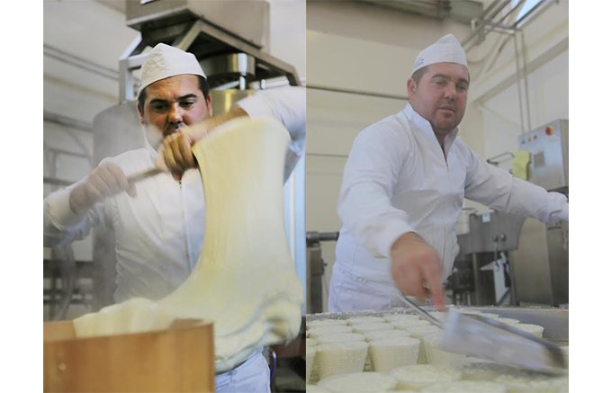 玄人を唸らせる！イタリアでは出会えないファットリアビオ北海道のフレッシュチーズ