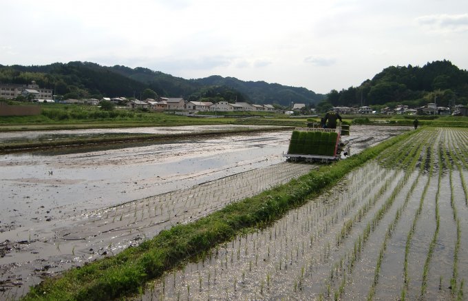 食味世界一のお米、福島・天栄村の黄金の稲穂から取れる「天栄米」を知ってますか？