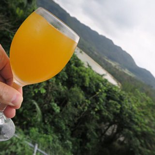 新鮮で果実そのものの旨みが伝わる石垣島の「パッションフルーツジュース 100」