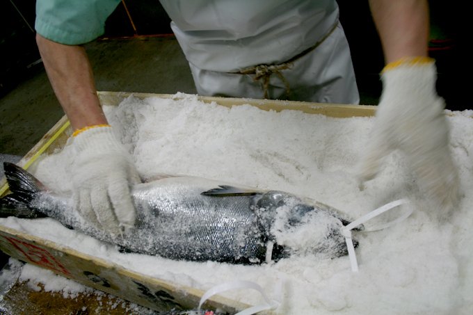 日本海からの寒風にさらされて旨味を熟成させる「新潟たけうち」の鮭・鱒