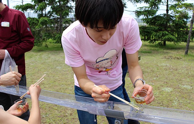 【秋田県】夏の風物詩「流しじゅんさい」とじゅんさい祭り 【秋田県】夏の風物詩「流しじゅんさい」とじゅんさい祭り