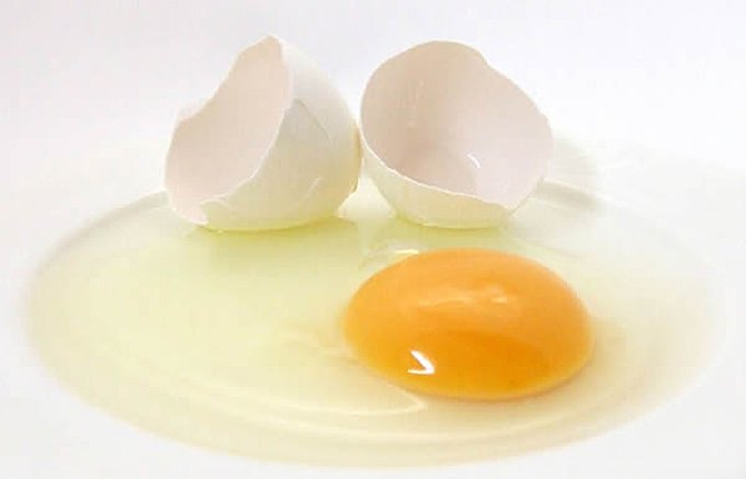 能登半島で生産されている卵を使った無添加のふわふわ「純生ロールケーキ」