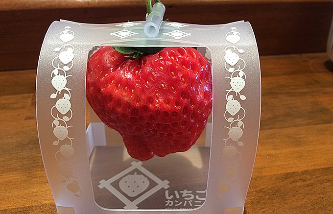1個1,000円のイチゴ「とろける香りいちご」が1年中「旬」の秘密とは！？
