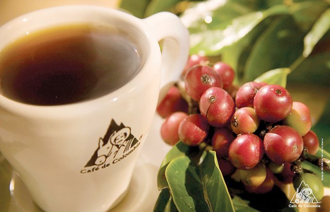 今年の8月に盛り上がるブラジルはコーヒー大好き大国！