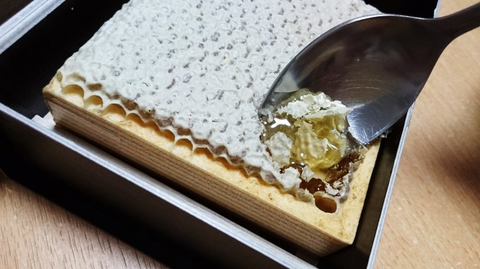 ハチの巣を丸ごと食べる！希少な日本のニホンミツバチの巣蜜 かの蜂の