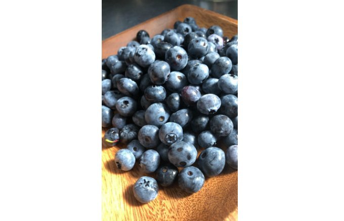 さわやかな甘さが光る青い果実！「ブルーベリー」をとことん味わう