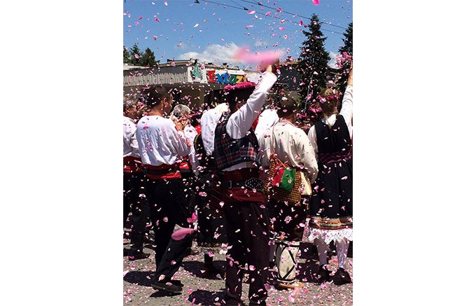 【ブルガリア】ダマスクローズが咲き誇るバラの谷の「バラ祭り」