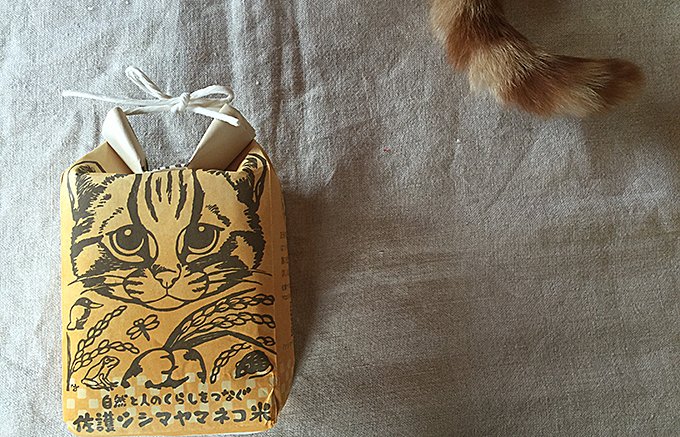 ネコ好き必見！“お米を食べて保護活動”長崎・対馬の「ツシマヤマネコ米」