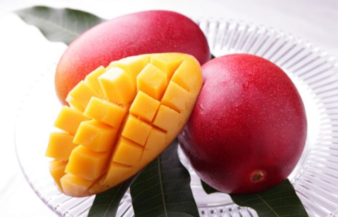 樹上で熟した高貴な香りと溢れる果汁がたまらない宮崎県マンゴー「太陽のタマゴ」