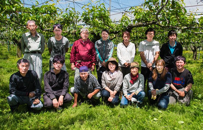 栃木県・阿部梨園の梨「にっこり」は甘さと大きさ、保存性を兼ね備えた優等生です！