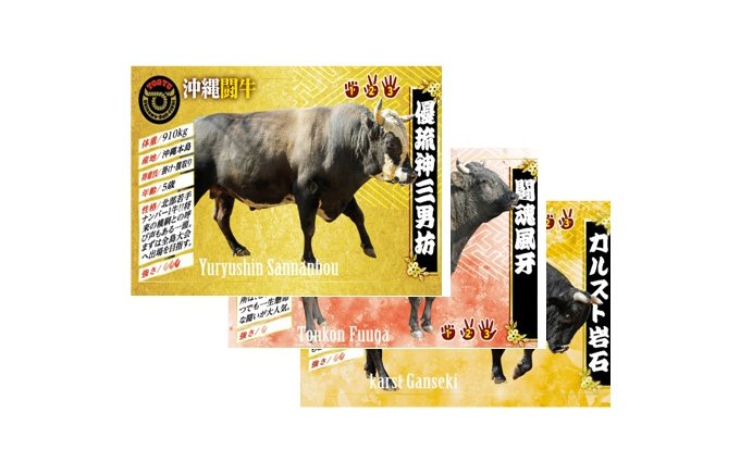 日本初！沖縄の闘牛肉を100％使用したカロリー控えめ「沖縄闘牛カレー」
