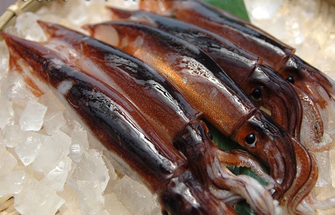 獺祭とあわせて嗜みたい日本酒が引き立つおつまみ6選【番外編】