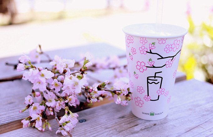 桜の季節に味わいたい！春を心ゆくまで味わう桜色グルメ