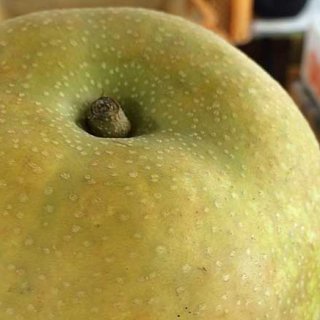 埼玉・久喜市「大澤農園」の梨が美味しい！その由縁とは？