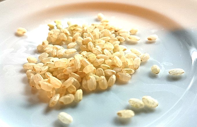 「金芽ロウカット玄米」は昔の人が食べていたお米を進化させた新しいお米