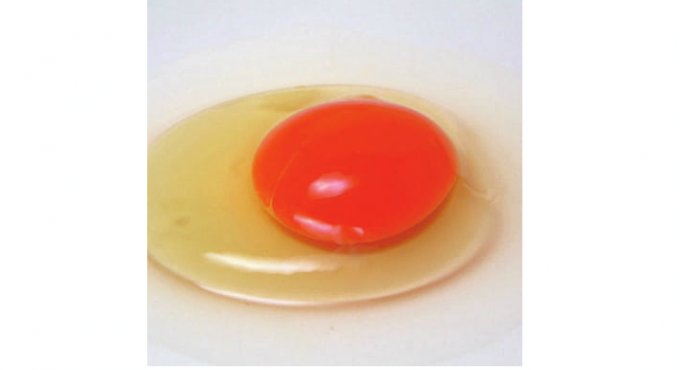 スポンジの焼き上がりに差が出る！コストパフォーマンスに優れた卵「那須御養卵」