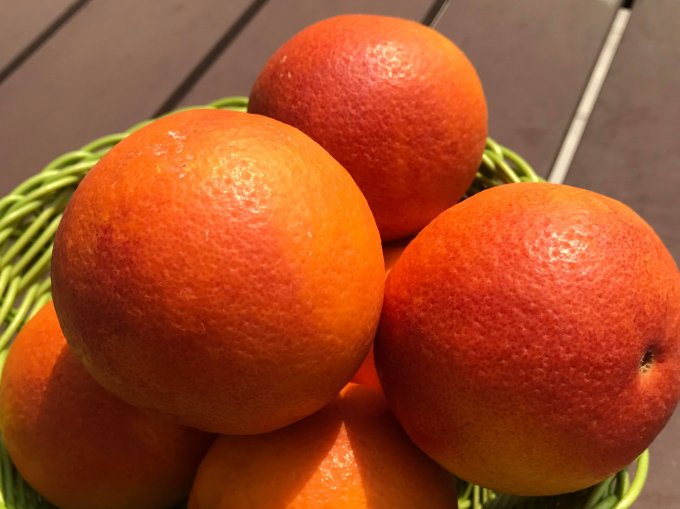 鮮やかな赤に魅せられて 香り豊かな愛媛県宇和島産の ブラッドオレンジ Ippin イッピン