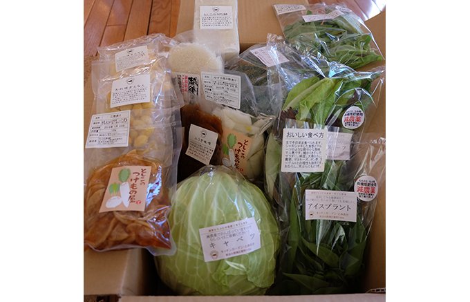新潟「キッチンガーデン・とみおか」の米と野菜たちの玉手箱