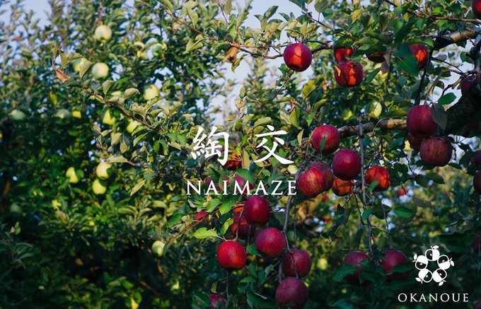 秋田県横手市のこだわりまくった国産辛口シードル“NAIMAZE”